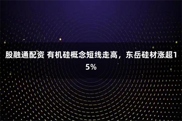 股融通配资 有机硅概念短线走高，东岳硅材涨超15%